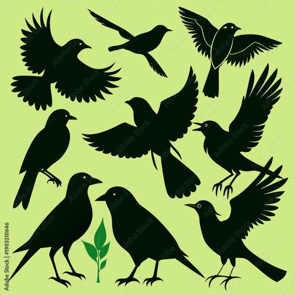 Obraz premium Bird Silhouettes Collection on Green Background Vector