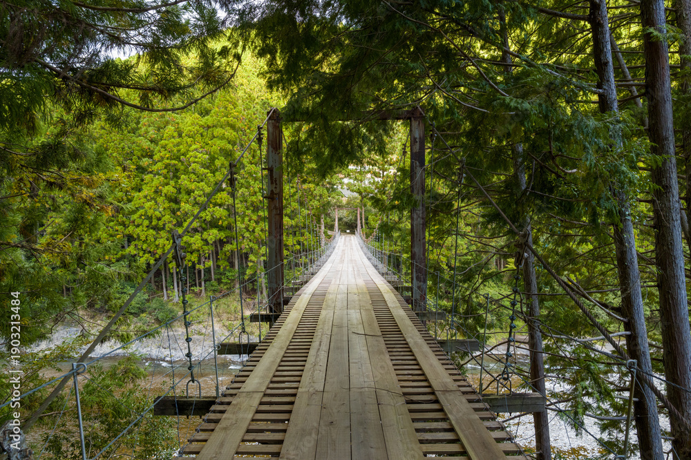 Obraz premium A rustic wooden suspension bridge stretches across a river, framed by dense green cedar trees in the Koya San region. The tranquil natural setting is illuminated by soft daylight filtering through the