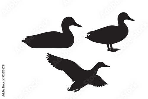 Collection of black duck silhouettes in various poses on white background