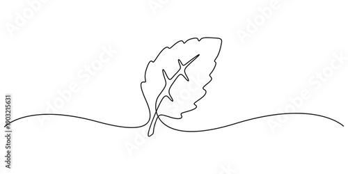 Continuous line art drawing of a single leaf, Concepts for botanical themes or organic design