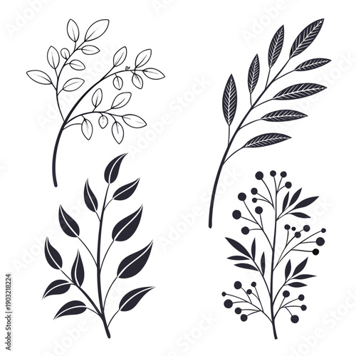 Elegant black and white line drawings of various plant species and flowers. Vector