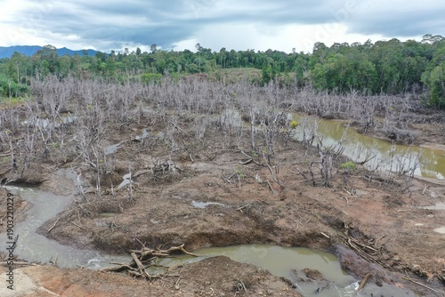 Fényképezés Coastal collapse: Dead mangroves in Ardimulyo, North Kalimantan