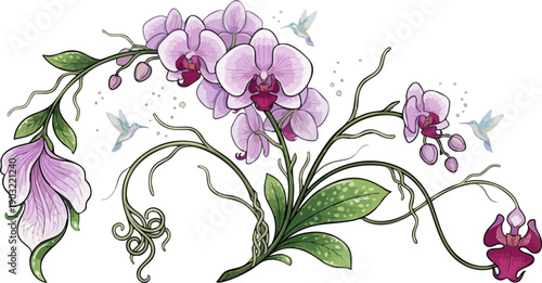 Vibrant orchid flowers and hummingbirds in a lush, floral illustration from a close-up, aerial viewpoint