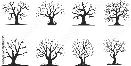 Collection of leafless tree silhouettes isolated on white background, detailed bare branches ideal for winter, nature, and design concepts
