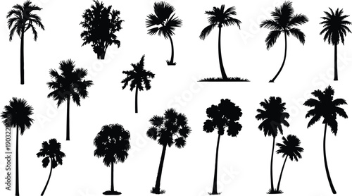 Collection of tropical palm tree silhouettes isolated on white background, featuring diverse palm shapes for summer, beach, and nature design