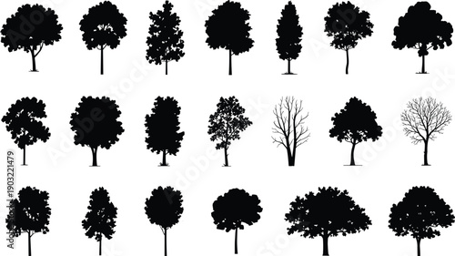 Large collection of realistic tree silhouettes isolated on white background, featuring diverse deciduous and evergreen shapes for nature design projects