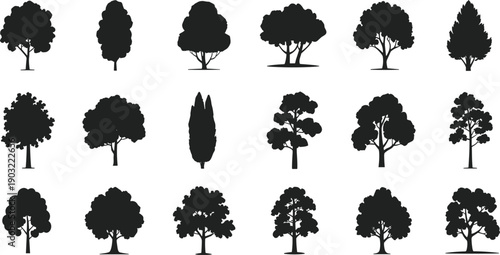 Large collection of black tree silhouettes showing deciduous and conifer shapes isolated on white background for landscape design