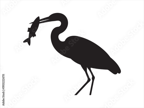 Silhouette of a heron holding a fish in its beak vector illustration on white background
