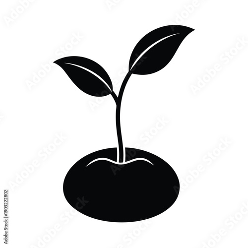 Sprouting Seed Growth Icon