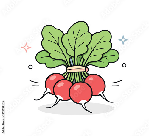 Minimalist Radish Illustration. Radish bunch. A minimal radish bundle arranged like a quiet still life, with roots and leaves clearly visible. The illustration