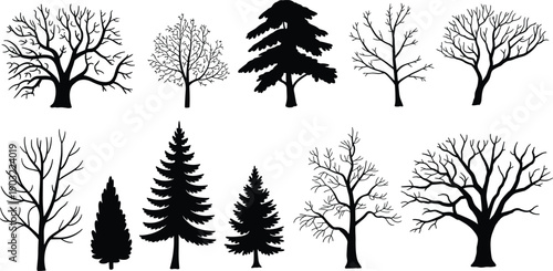 Set of bare tree silhouettes featuring winter branches, pine and deciduous trees isolated on white background for nature design use