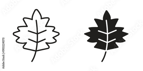 Maple leaf icon suitable design silhouette and line art style on white background