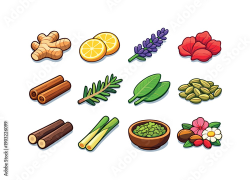 Herbal ingredients. Colorful isometric vector icons set of herbal ingredients: ginger root, lemon slices, lavender flowers, hibiscus petals,