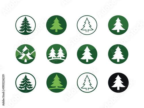 Spruce Logo Variations. Spruce. Icon set. Set Logo of Spruce: spruce tree in circle badge. harmonious logo variations of the same emblematic concept, each with