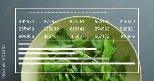 HUD frame appearing over pale bowl, numeric grid updating, bars extending, visualizing salad data