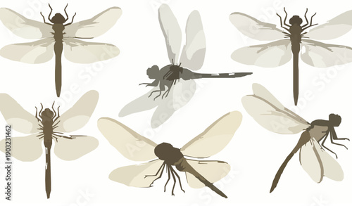 Realistic Watercolor Dragonfly Vector Set Isolated on Transparent Background Nature Insects Collection