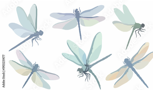 Pastel Watercolor Dragonfly Insects Vector Set Transparent PNG Decorative Nature Illustration