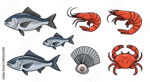 Collection of Fresh Seafood Including Fish Shrimp Crab and Scallop.