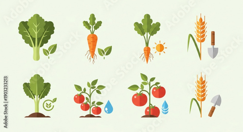 Collection of Fresh Vegetables and Grains Growing.