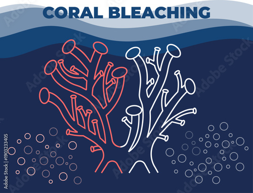 Coral Bleaching Underwater Reef Illustration