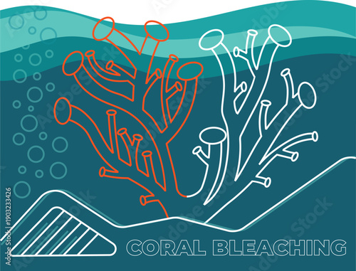 Coral Bleaching Underwater Reef Illustration