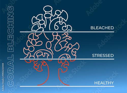 Coral bleaching stages infographic