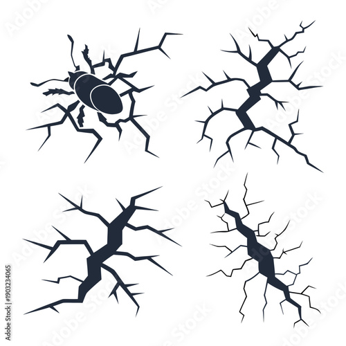 Diverse types of neurons with varying structures and branching patterns Vector