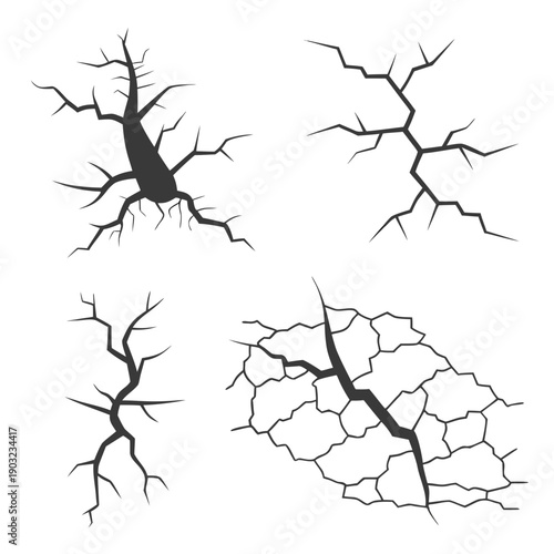 Diverse illustrations of various types of neurons with complex branching structures. Vector