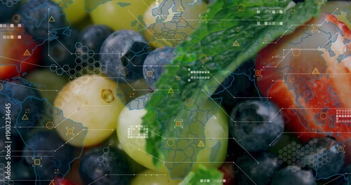 Map fading in, HUD grids growing and aligning over grape cluster mint-leaf, mapping distribution