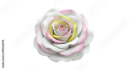 Elegant Bi-Color Rose with White, Pink, and Yellow Petals