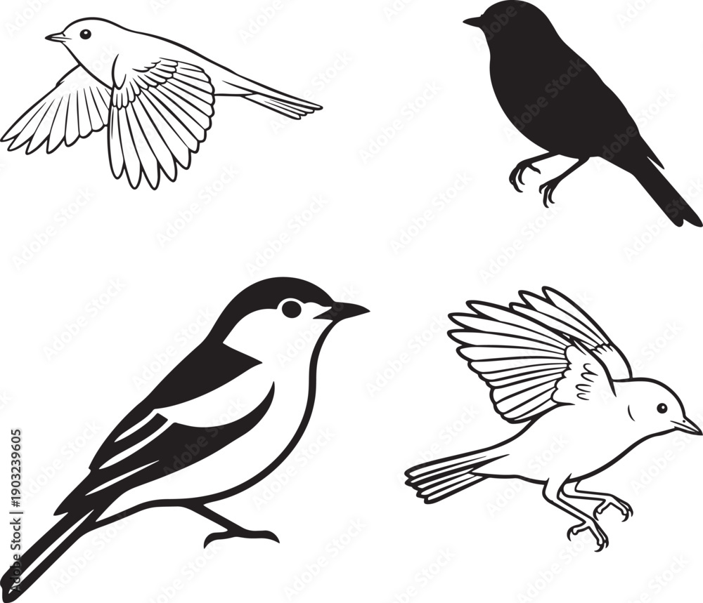 Fototapeta premium Acadian Flycatcher