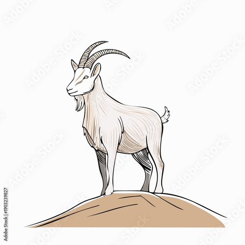 Illustration of a standing white goat with horns on a hillock
