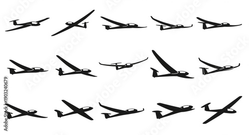 Collection of glider silhouettes in various flight poses.