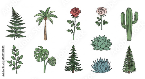 Collection of Hand Drawn Botanical Illustrations of Various Plants.
