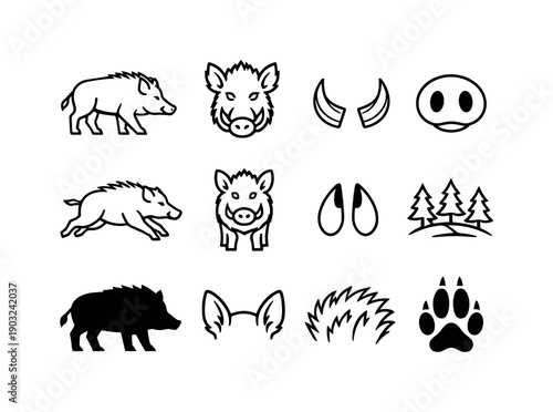 Wild boar. Line icon set of wild boar: wild boar side view, boar head, tusks, snout, running boar, standing boar, boar tracks, forest