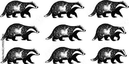 Badger silhouette set, wild animal illustration collection isolated on white background black mammal design