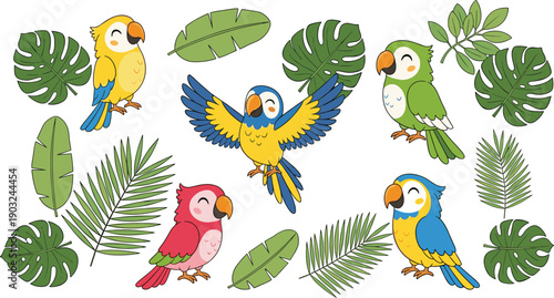 Cute tropical parrot bird collection with monstera palm leaves isolated on white background colorful jungle cartoon vector illustration set