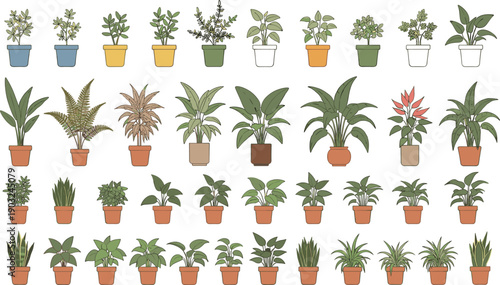 Hand drawn indoor potted plant collection featuring decorative houseplants foliage greenery and botanical home decor vector illustration set