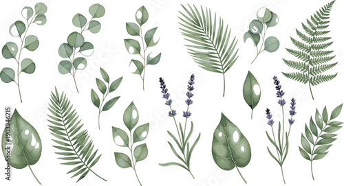 Watercolor botanical greenery collection with eucalyptus lavender palm fern and decorative leaves isolated on white background vector illustration set