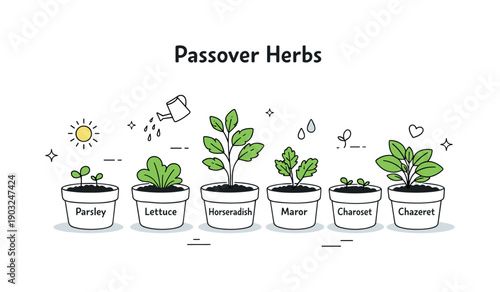 Passover herbs planting scene. Small seedlings in labeled pots for the Seder plate, showing growth stages with subtle sunlight and watering