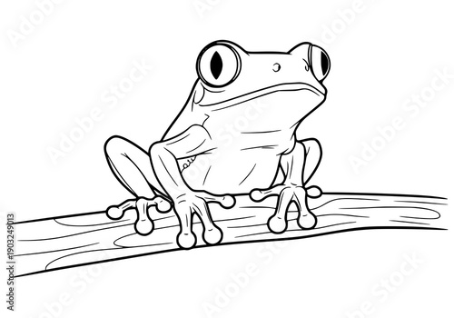 Simple cartoon in black and white. cute Red-Eyed Tree Frog. in rainforest. ideal for children's coloring books.
