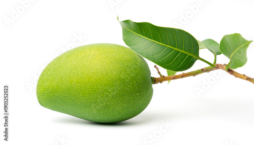 Fresh Green Mango on Branch with Leaves Close Up.