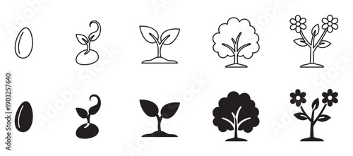 Plant growth stages icon set showing the complete life cycle from seed and sprout to seedling, tree, and flowering plant in both outline and solid silhouette styles