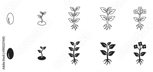 Plant growth stages icon set showing the life cycle from seed germination to a flowering plant, presented in both minimalist outline and solid black silhouette styles for infographics