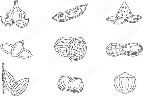 Nuts and seeds line icons set with peanuts walnuts almonds pistachios healthy food symbols vector illustration design