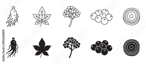 Ginseng root leaf berry and slice icons set in two styles, a simple black line art outline and a solid glyph silhouette for herbal medicine and natural supplement concepts