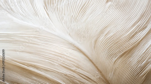 downy. Close-up detail of a white feather showcasing natural plumage texture on neutral backdrop. wildlife magazines, conservation campaigns, designed for wildlife conservation campaigns.