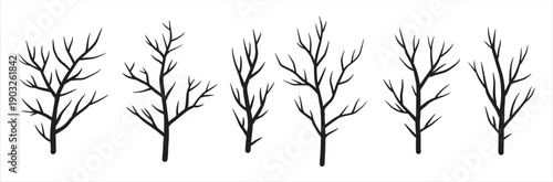 Black silhouette of branch and tree. Set of simple abstract natural wood