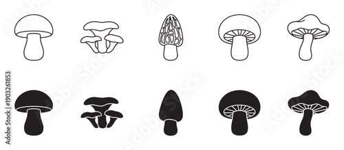 Collection of black mushroom icons in outline and silhouette styles showing various fungi types like morel, champignon, and oyster for graphic design elements