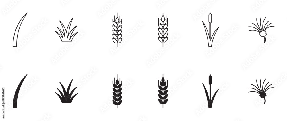 Fototapeta premium Set of twelve minimalist plant icons in black, showcasing grass blades, wheat stalks, cattails, and dandelions in both linear outline and solid filled silhouette styles